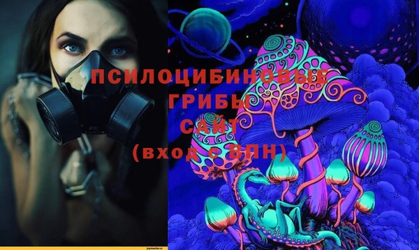 а пвп мука Абаза