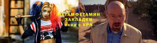 прущие грибы Абдулино