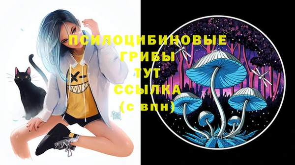 героин Краснослободск